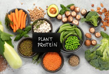 Plant Protein