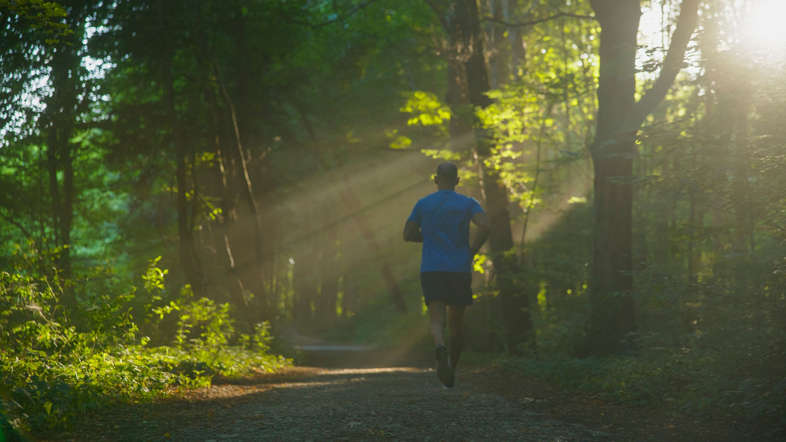 Mitochondrial Biogenesis and Zone 2 Training Fit endurance athlete running along a scenic nature trail during a sunrise Zone 2 cardio session, with polyphenol-rich dark berries and grapes blended into the lush foreground.